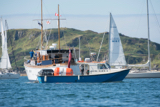 laura dawn ii whyw16 mon 800 2073w